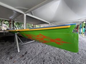 Image de l'article L’Aviron Traditionnel